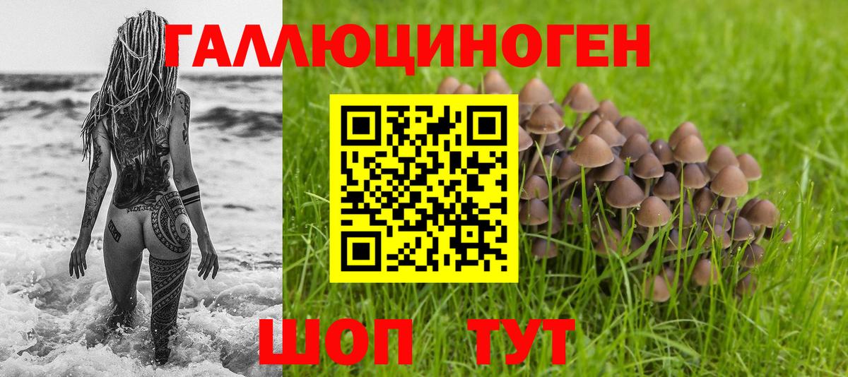 Псилоцибиновые грибы ЛСД  Галлюциногенные грибы прущие грибы  Шахты  Вход с VPN 